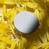 Ere Perez Arnica All-Cover Pot