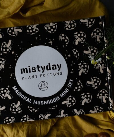 Misty Day Magickal Mushroom Giftset