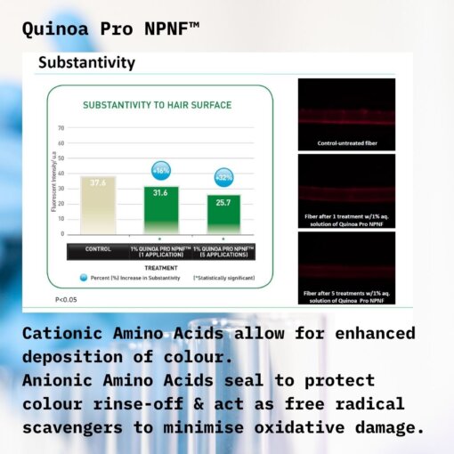 Holistic Hair Quinoa Pro Npnf™ Colour Protect Shampoo